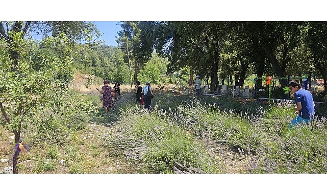 Vatandaşlar Gedelme’nin Mor Güzelliğiyle Buluştu