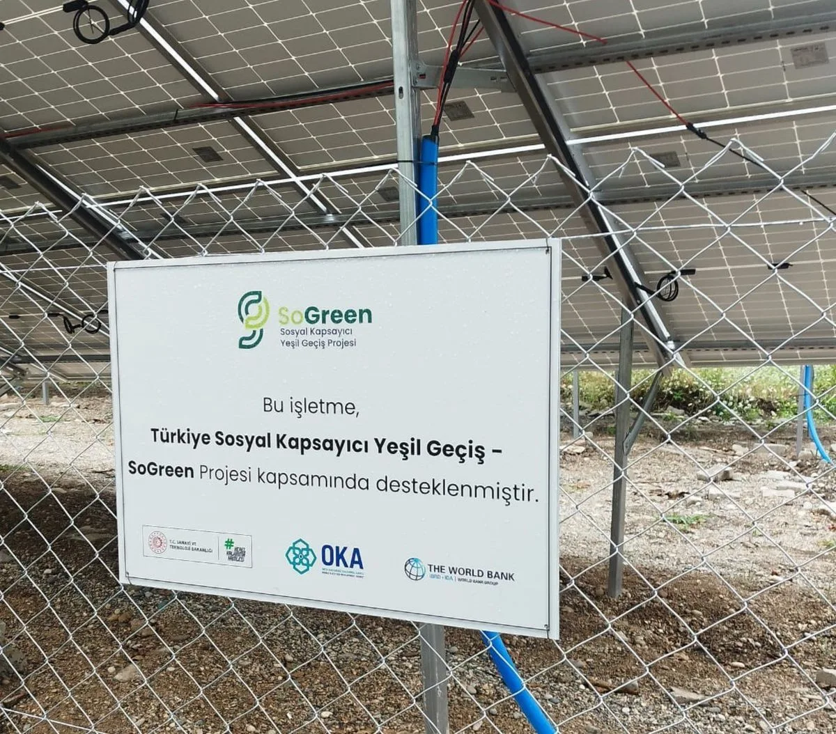 Niksar’da Sürdürülebilir Ceviz Projesi