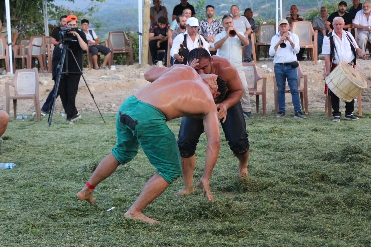 Sinoplular güreşe doyacak