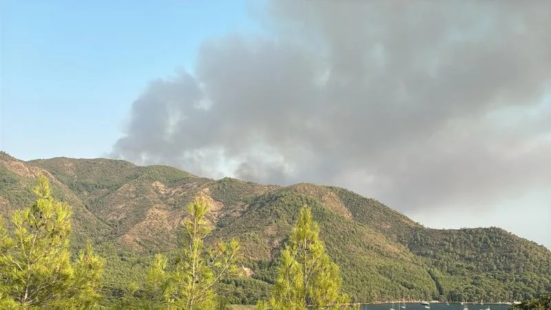 Marmaris’teki orman yangını kontrol altında
