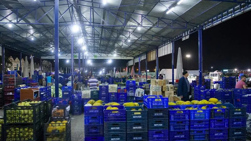 Yaş meyve ihracatı, 7 ayda 1 milyar doları aştı