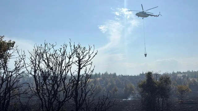 Antalya’da orman yangını sayısı yarı yarıya düştü