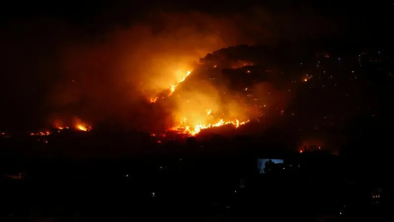 WWF: İtalya’da bu yaz çıkan orman yangınlarında 70 bin hektar alan kül oldu