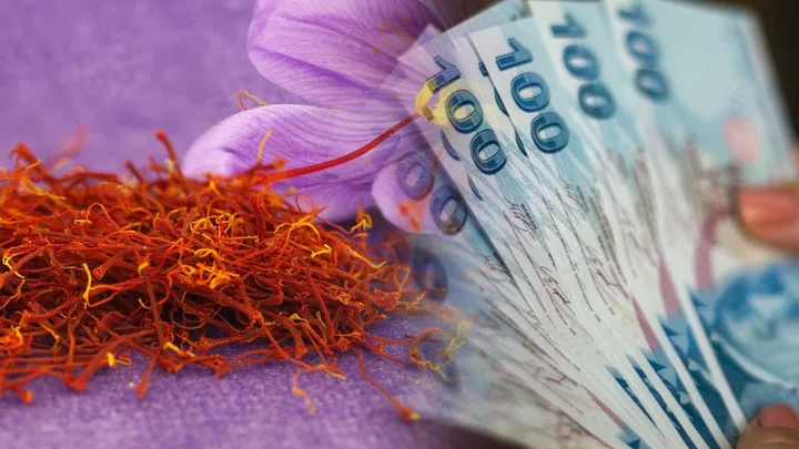 Türkiye’nin toprağından çıkıyor: “Kırmızı altın” servet kazandırıyor