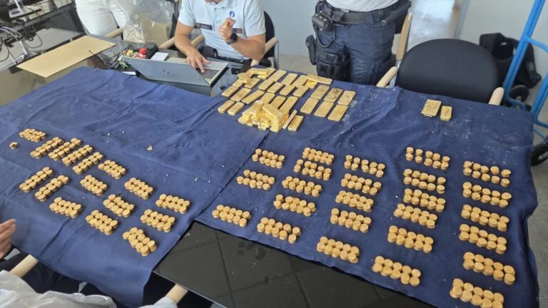 Belçika’da Bir Mahzen Duvarında Gizli 40’tan Fazla Altın Külçesi ve 4.000 Eski Sikke Bulundu