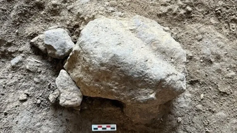 25 Türk Mağarasında Bulunan Kaplumbağa Heykelcikleri, Bazıları 16.500 Yıl Öncesine Ait