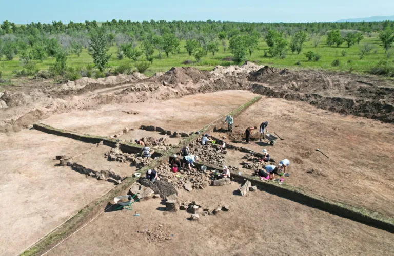 Hakasya’daki Erken Demir Çağı Mezar Höyüğünde Nadir Tagar Atı Oymaları Keşfedildi