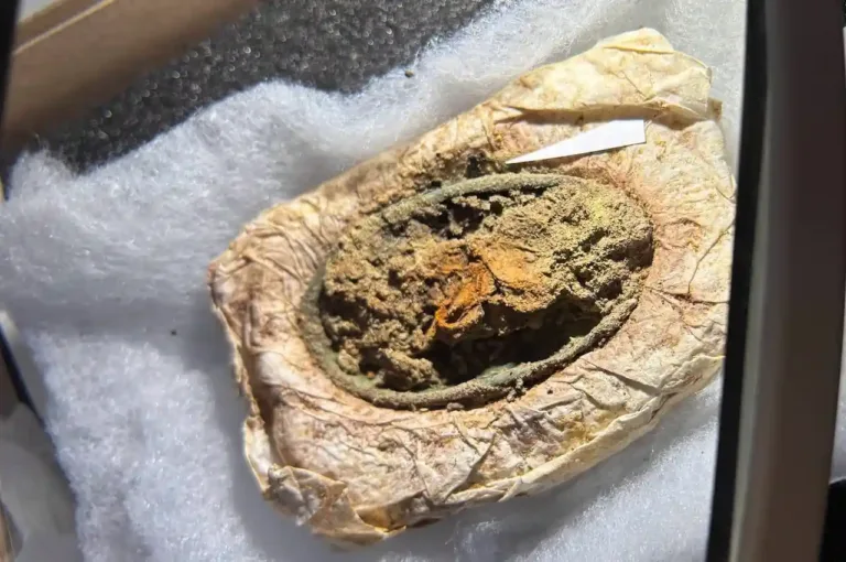 Danimarka’daki Nadir Viking Kız Mezarı 1.300 Yıllık Kıyafetleri Koruyor