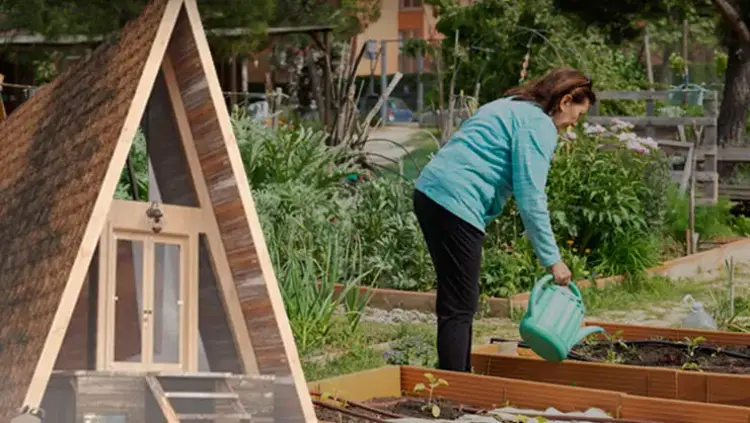 Hobi bahçeleri ve bungalovlar için yeni dönem.. ​Arazi sınırı 20 dönüme düşürüldü!