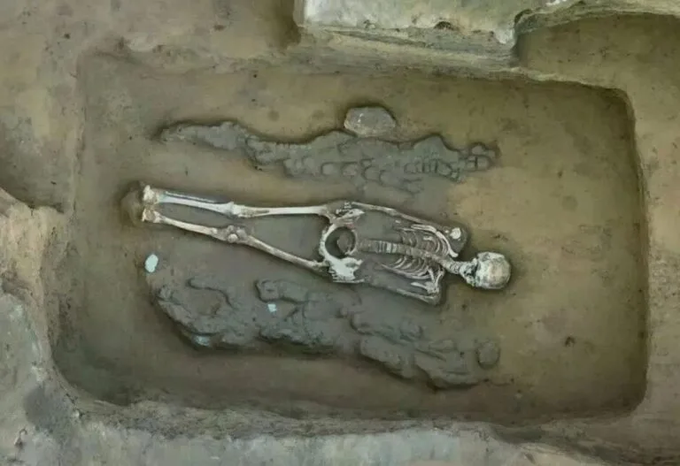 İç Moğolistan’daki 4.300 Yıllık Mezar, Kuzey Çin’de Bilinen En Eski Ejderha-Anka Kuşu Eşleşmesini Ortaya Çıkardı