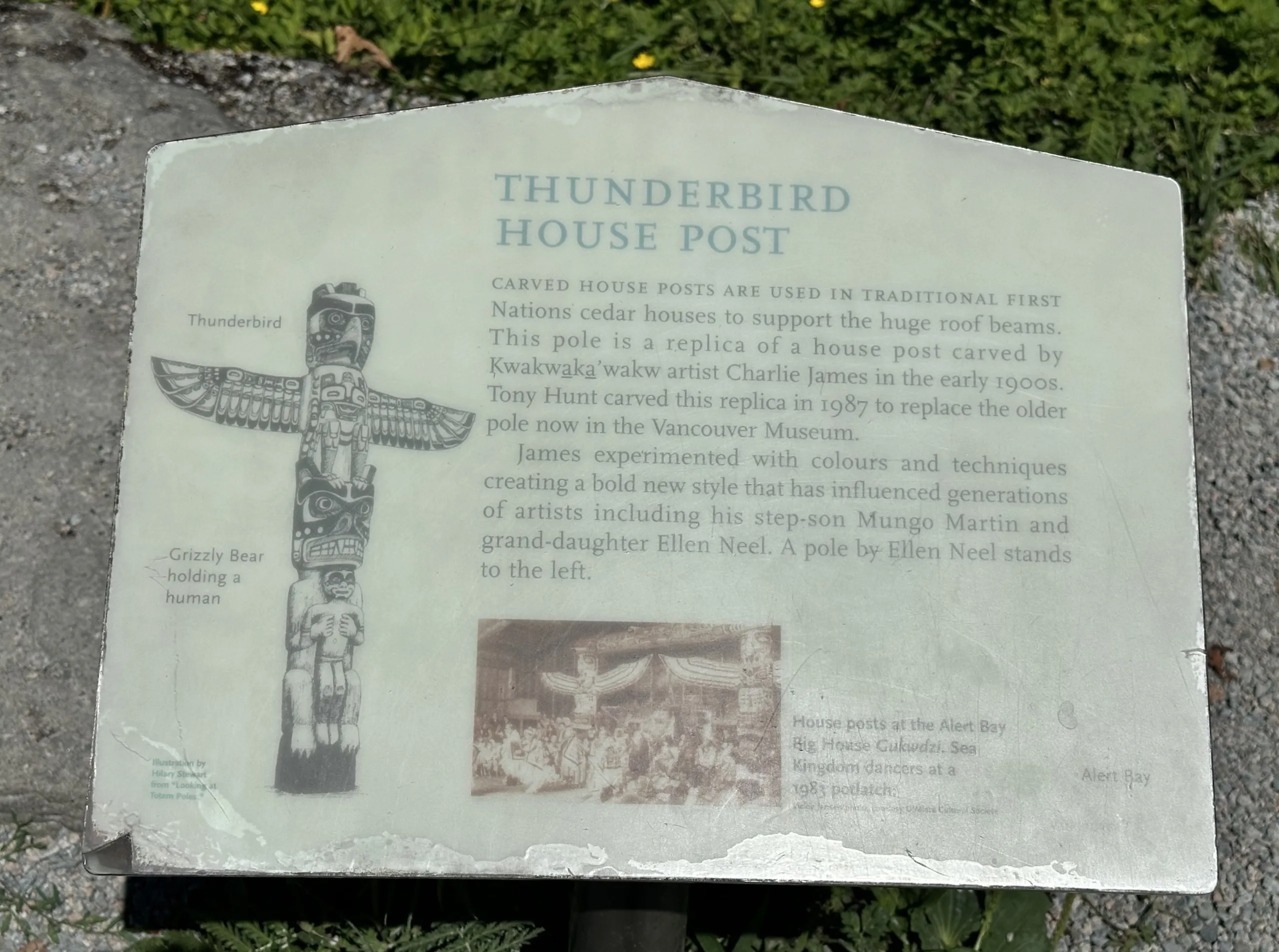 Thunderbird Ev Direği