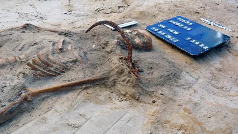 ‘Vampir’ Mezarı Gizemi Derinleşiyor