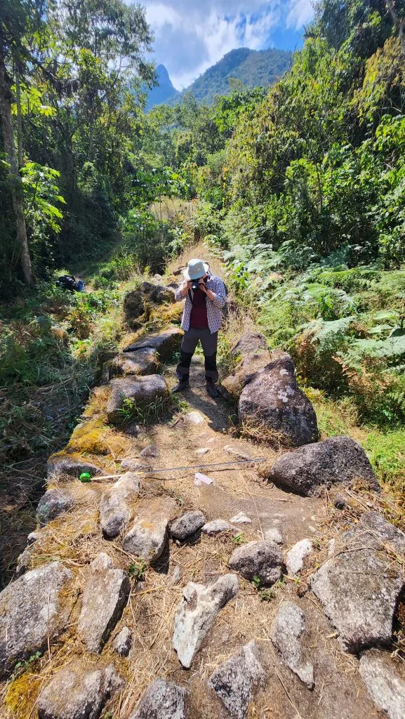 LiDAR, Machu Picchu Yakınlarında Kutsal Bir Dağa Giden Gizli İnka Yolunu Ortaya Çıkardı