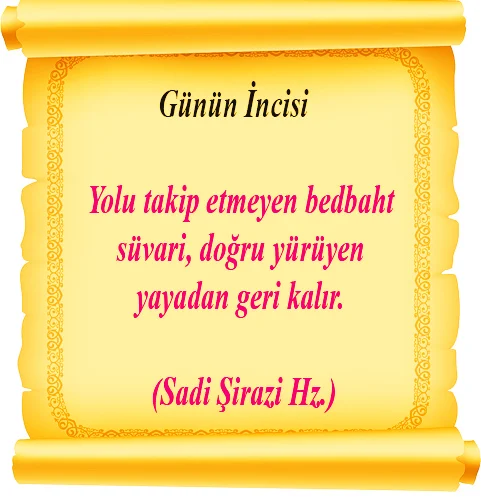 254 Yolu Sadi Hz