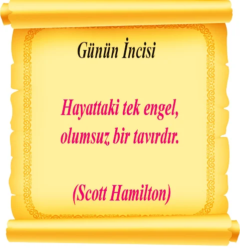 255hayat Hamilton