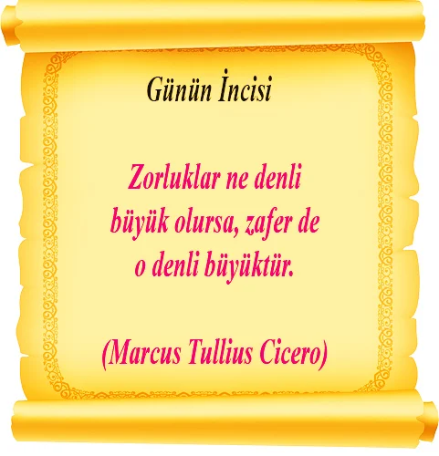 256zorluk Marcus