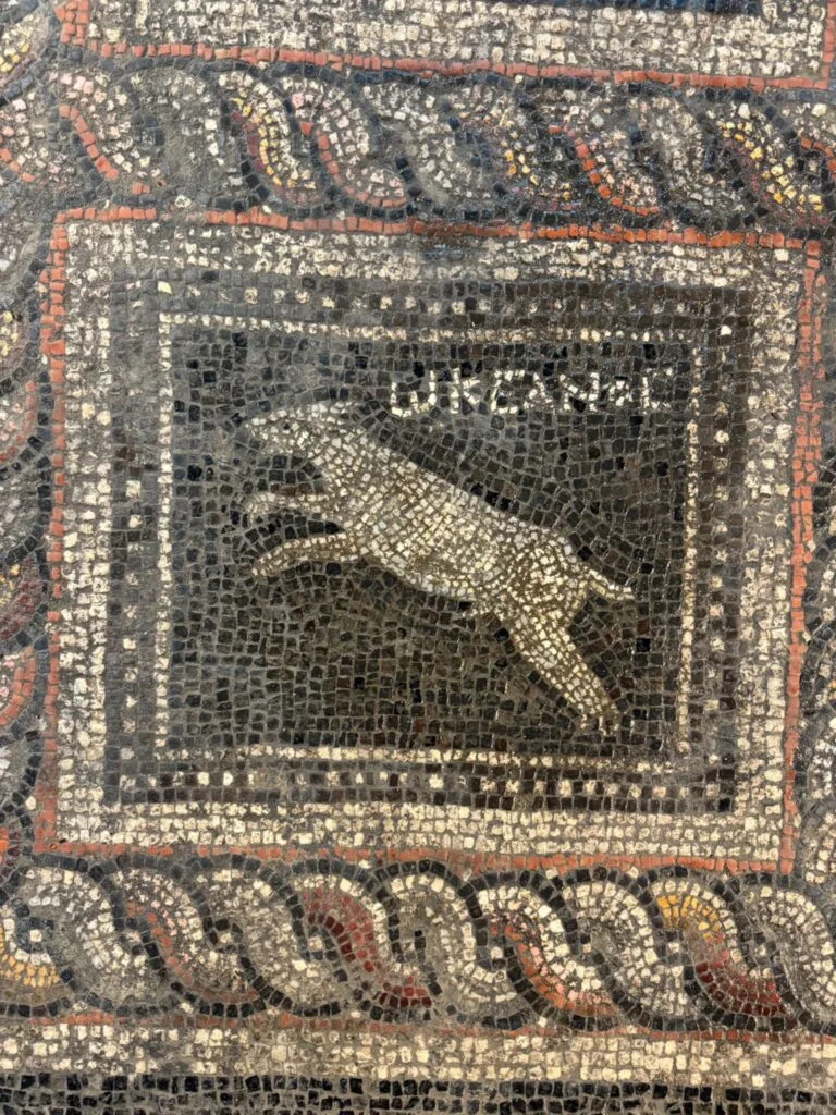 Türkiye’de Keşfedilen 1.800 Yıllık Roma Villası Mozaiğinde Kedi ve Köpeğin İsimleri Yazılı