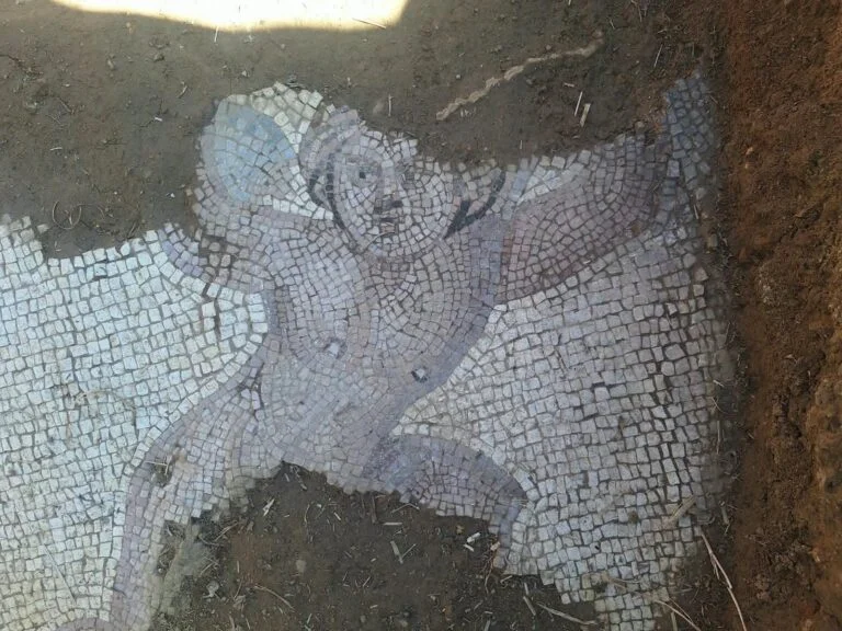Arnavutluk’taki Bir Roma Kompleksinde 1.600 Yıllık Altı Mozaik Ortaya Çıkarıldı