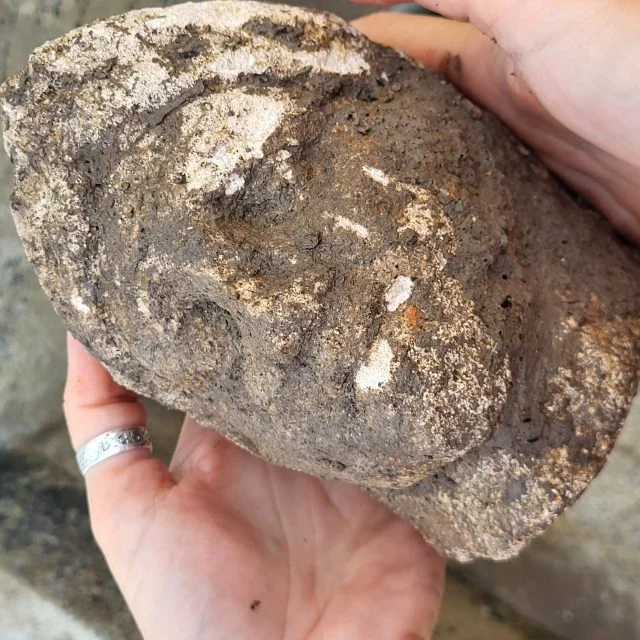 Arkeologlar Roma Lejyon Komutanı İçin İnşa Edilmiş Geniş Bir Konutu Ortaya Çıkardı