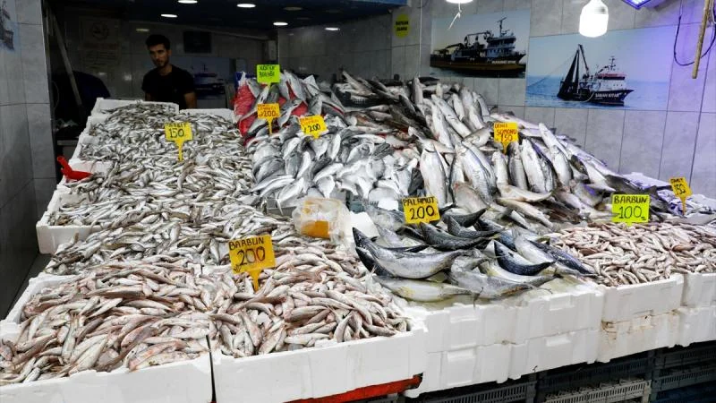 İstanbul’da balık tezgahlarına bolluk geldi