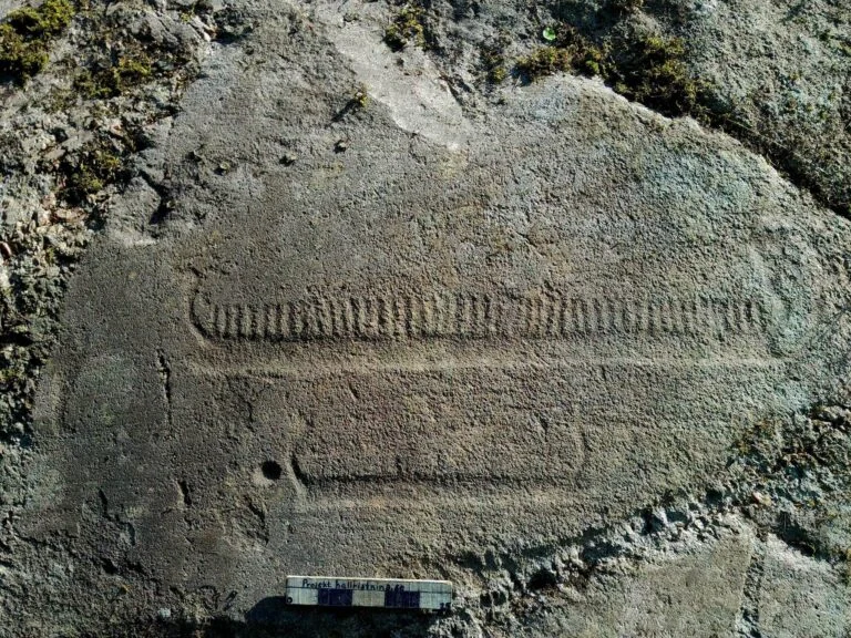 İsveç’in Tanum Dünya Mirası Alanında 16 Yeni Kaya Sanatı Paneli Keşfedildi, Bunların Arasında Dev Bir Panel de Var