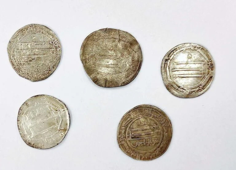 “Viking Atlantis’i” Truso Yakınlarında Arap Gümüş Sikkeleri Bulundu