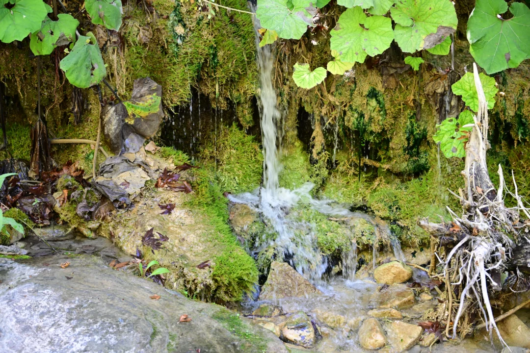 Sinop Gerze Sorgun Şelalesi Cazibesini Artırıyor