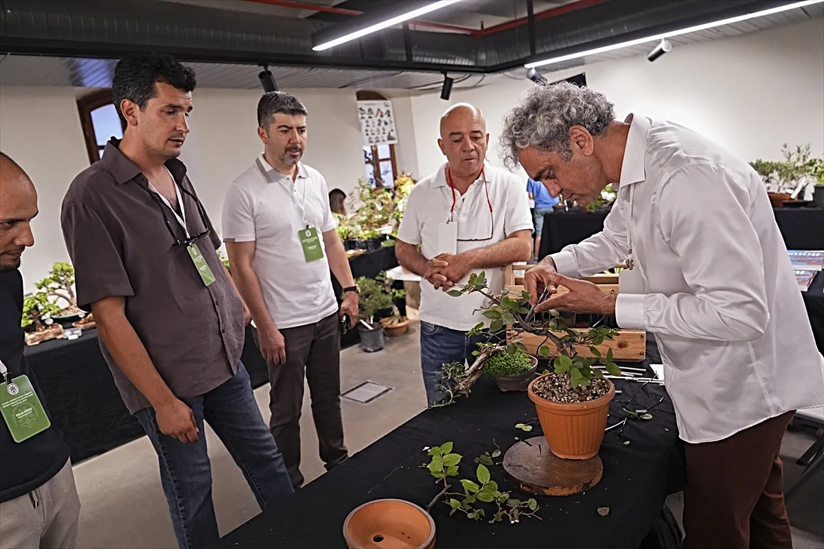 Bonsai sanatçıları ağaçları telle ve budamayla nakış gibi işliyor