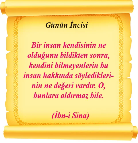 262 Bir Ins S Ibni Sina