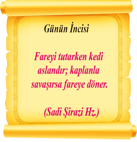 284fareyi Sadi Hz