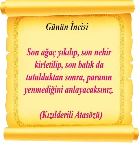 286son Kizzilderili