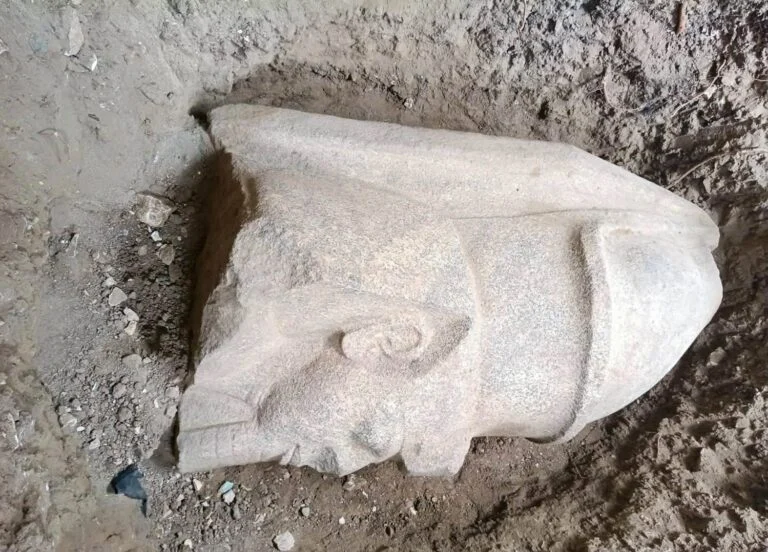 Mısır’da Tesadüfi Bir Keşif