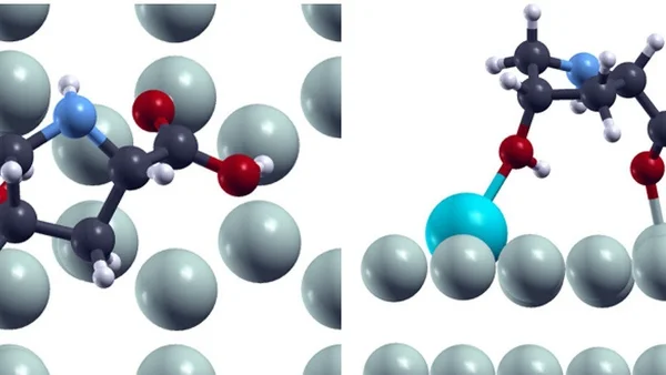Amino Asitler ve Bir Kemik Minerali Magnezyum İmplantların Erimesini Kontrol Altına Alabilir mi?