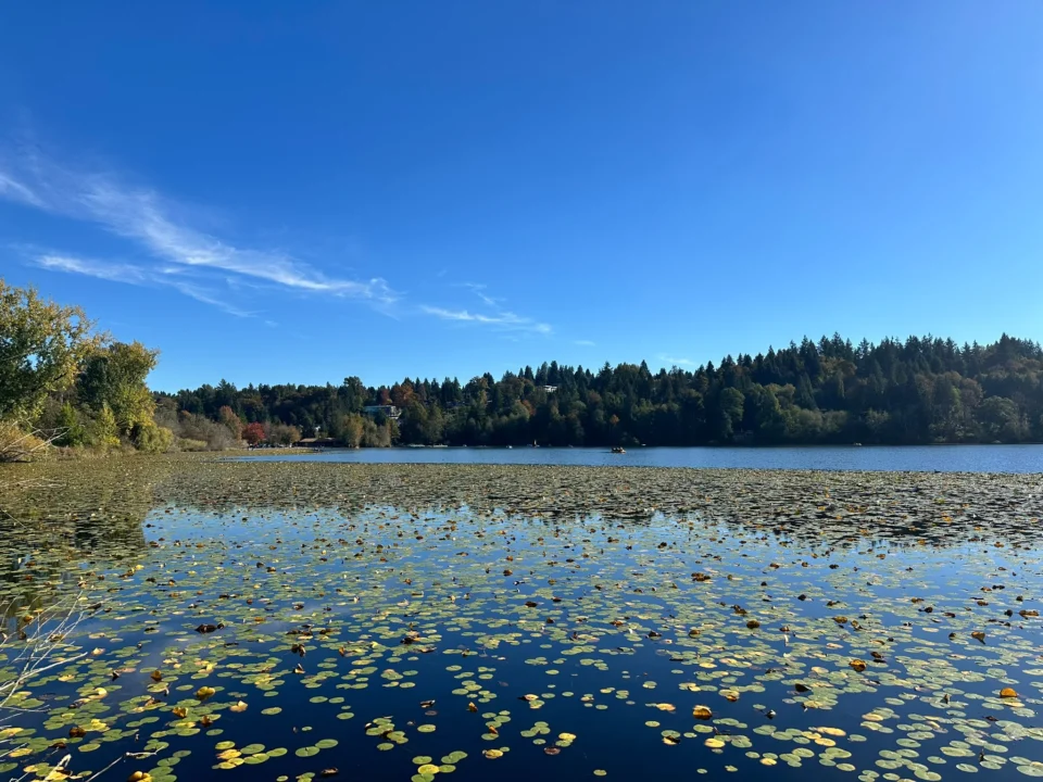 Kanada’nın Burnaby Kentinde Doğa ve Tarih Buluşuyor: Deer Lake Park