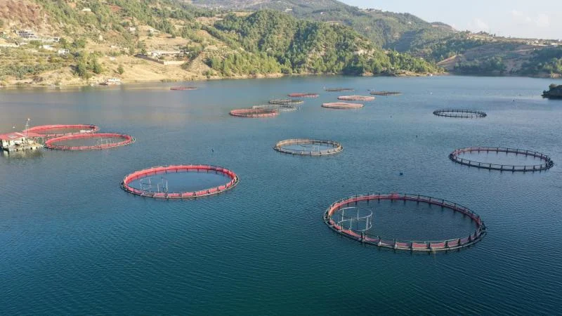 Su ürünleri ihracatı 9 ayda 1,8 milyar dolara ulaştı