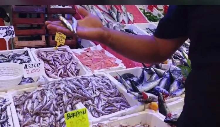 Balık Fiyatları El Yakıyor.. Mezgit Fiyatları 200 Liradan Aşağı Düşmüyor