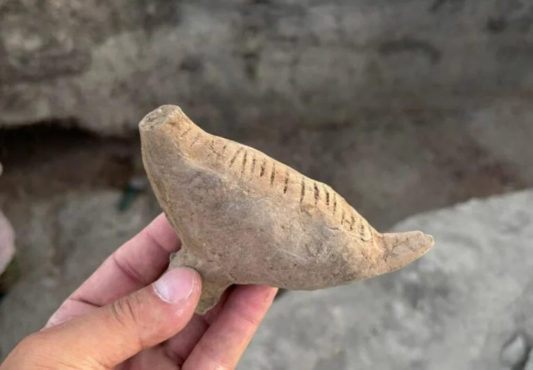 Kazakistan’da Nadir Kuş Heykelciği Bulunan İlk Türk Kağanlığı Dönemi Yerleşim Yeri Keşfedildi