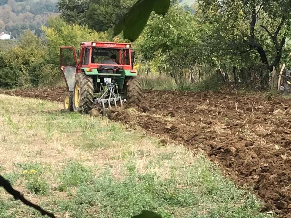 Sinop Köylerinde Gelecek Yılın Hasadı İçin İlk Adımlar Atılıyor