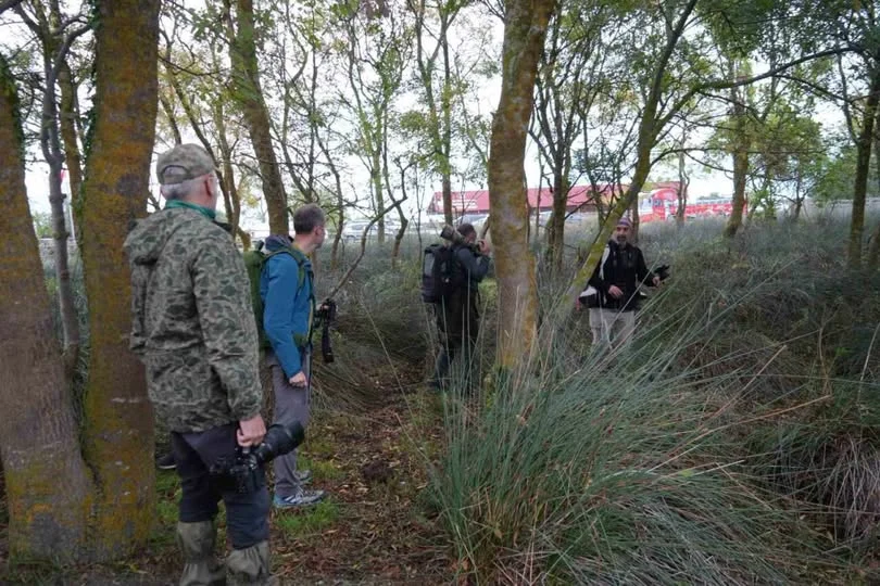 Samsun’da fotoğrafçılar, ender görülen ‘çalıkuşu çıvgını’ ve ‘akkaşlı çinte’ kuş türlerini görüntüledi